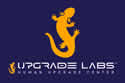 Upgrade Labs
